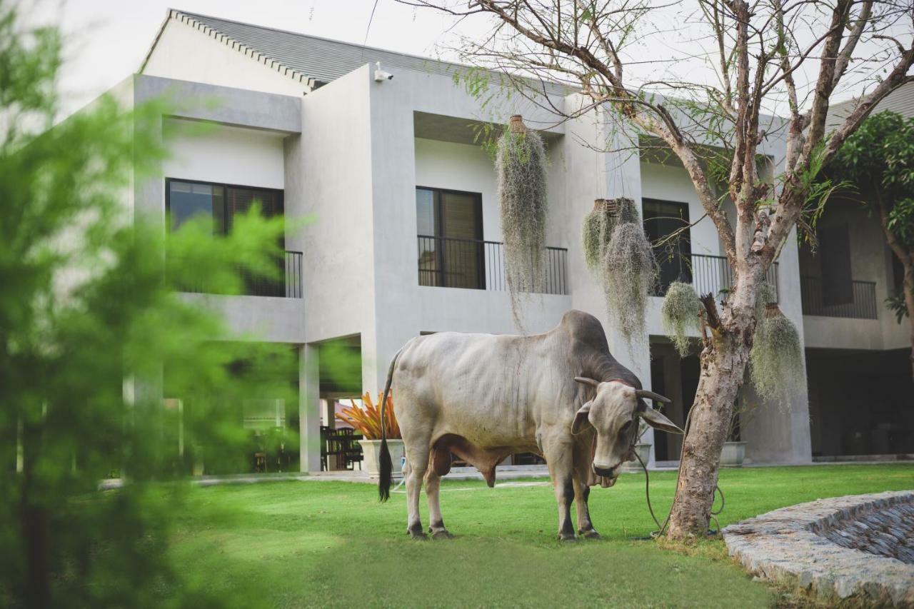 Purida Garden Resort Pattaya Ngoại thất bức ảnh